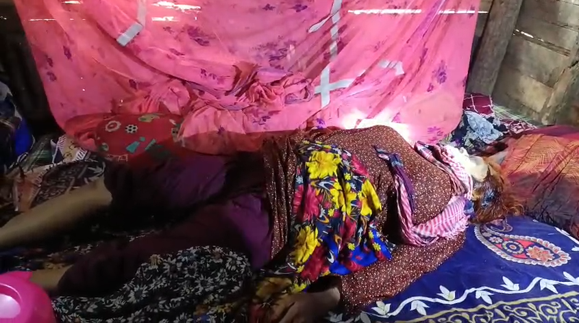 বাগেরহাটে একই পরিবারের তিনজনের অর্ধগলিত মরদেহ উদ্ধার